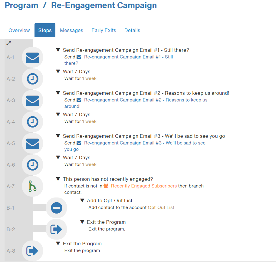 Screenshot of all the steps in the Re-Engagement Campaign's Program Flow.