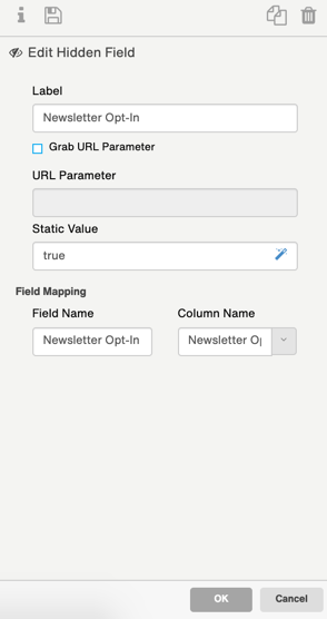 Newsletter Opt-In (Hidden Field).