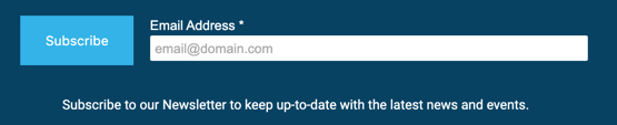 Here is a preview of our Subscription Form once embedded on a Web page or Landing Page.