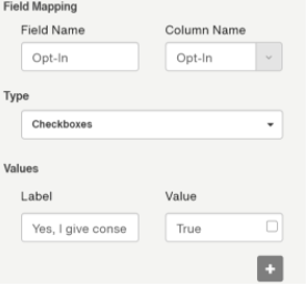 Write submissions to Primary List Opt-In Field Mapping.