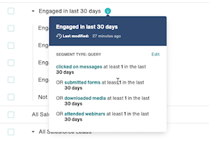 Segment Info Hover Card showing type and filter logic
